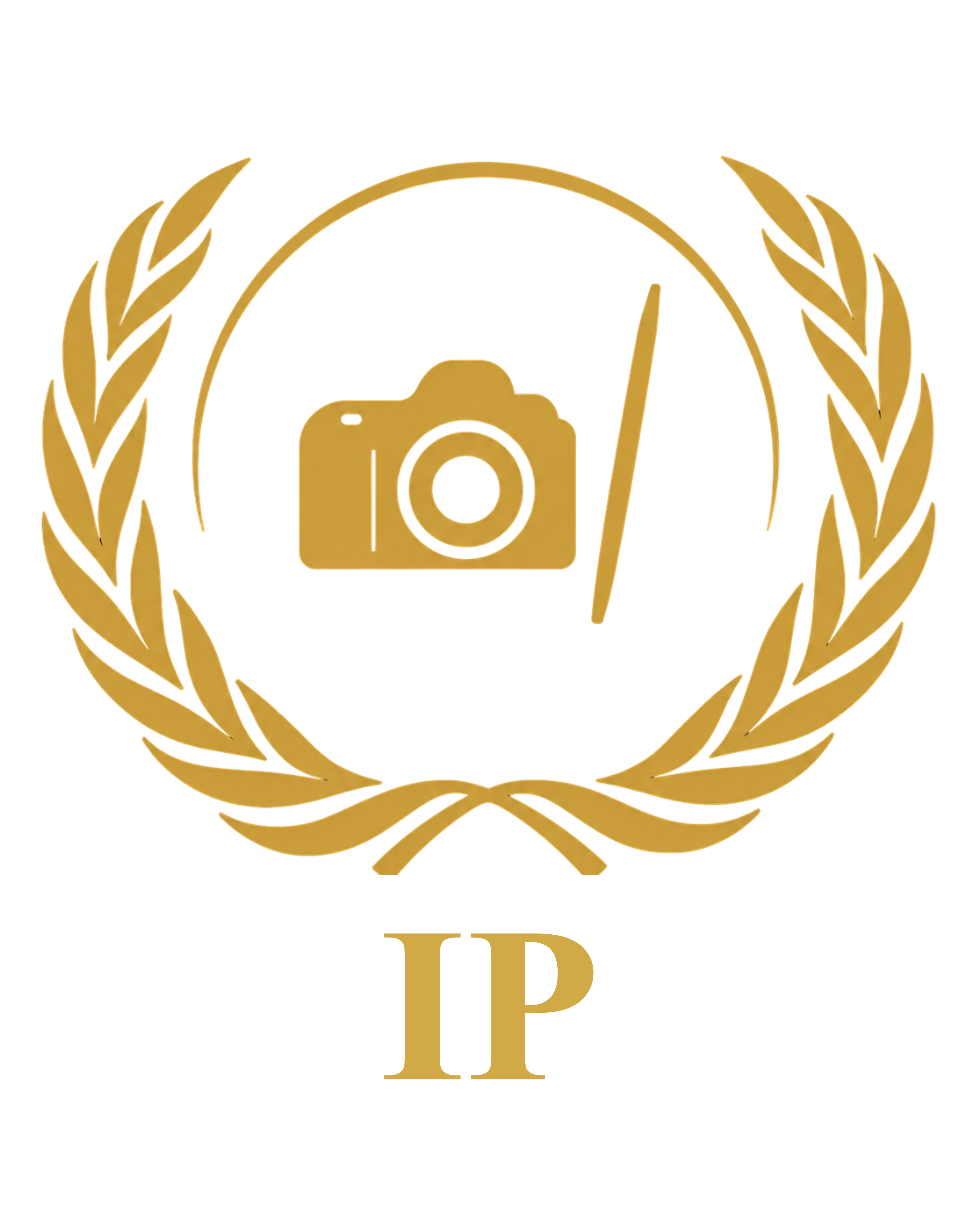 IP Logo